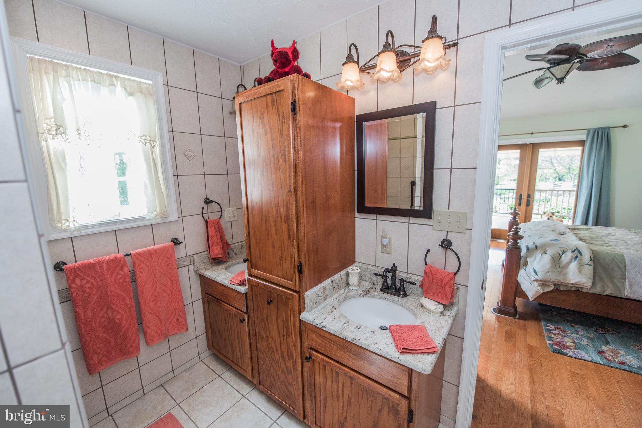 358 Ridge View Drive Berkeley Springs, WV 25411 - Photo 24 of 50 master bathroom custom cabinets