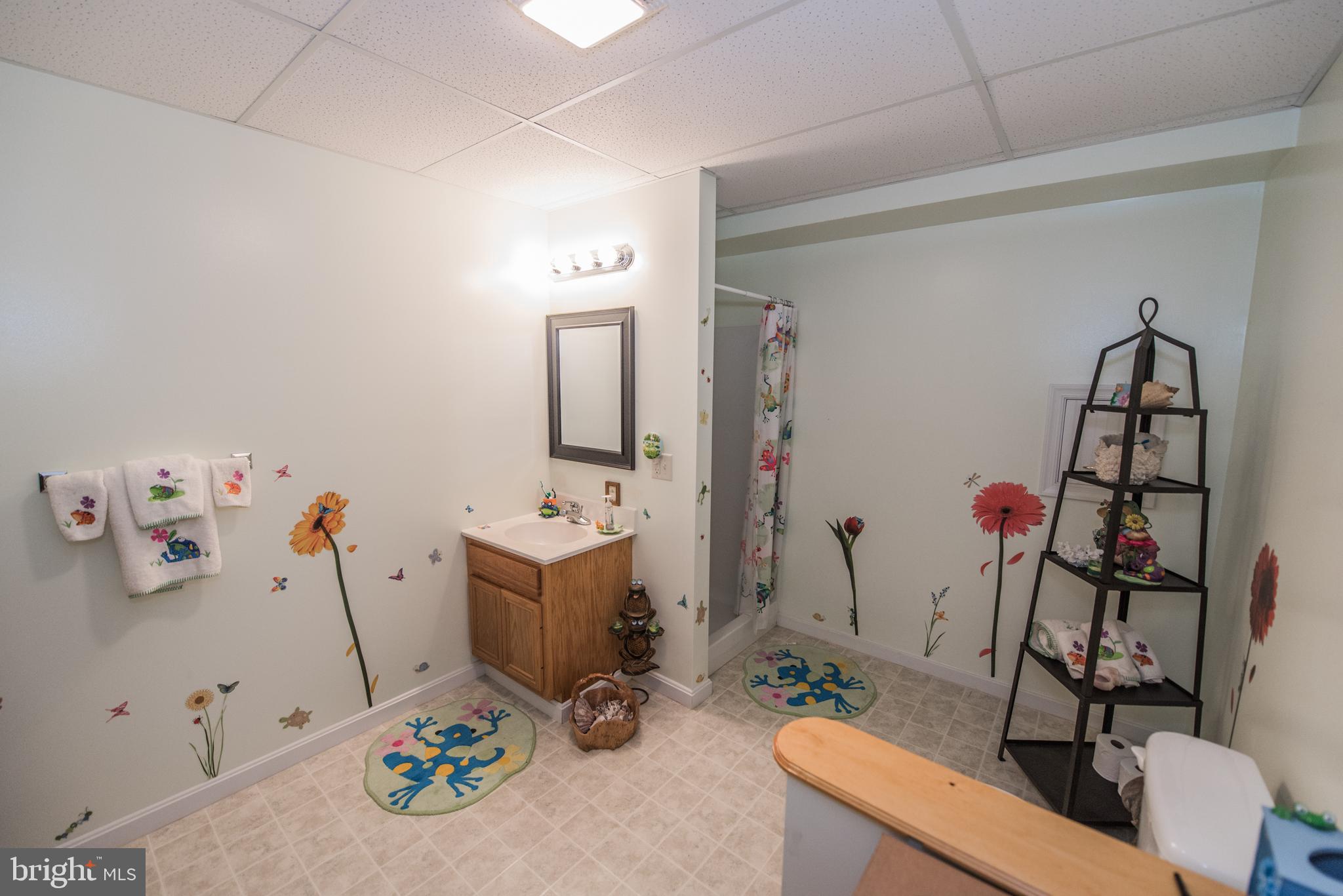 358 Ridge View Drive Berkeley Springs, WV 25411 - Photo 28 of 50 lower level complete bathroom