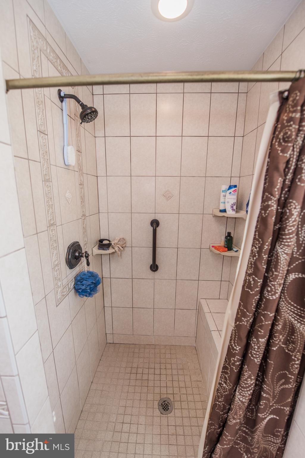 358 Ridge View Drive Berkeley Springs, WV 25411 - Photo 33 of 50 shower in master bath