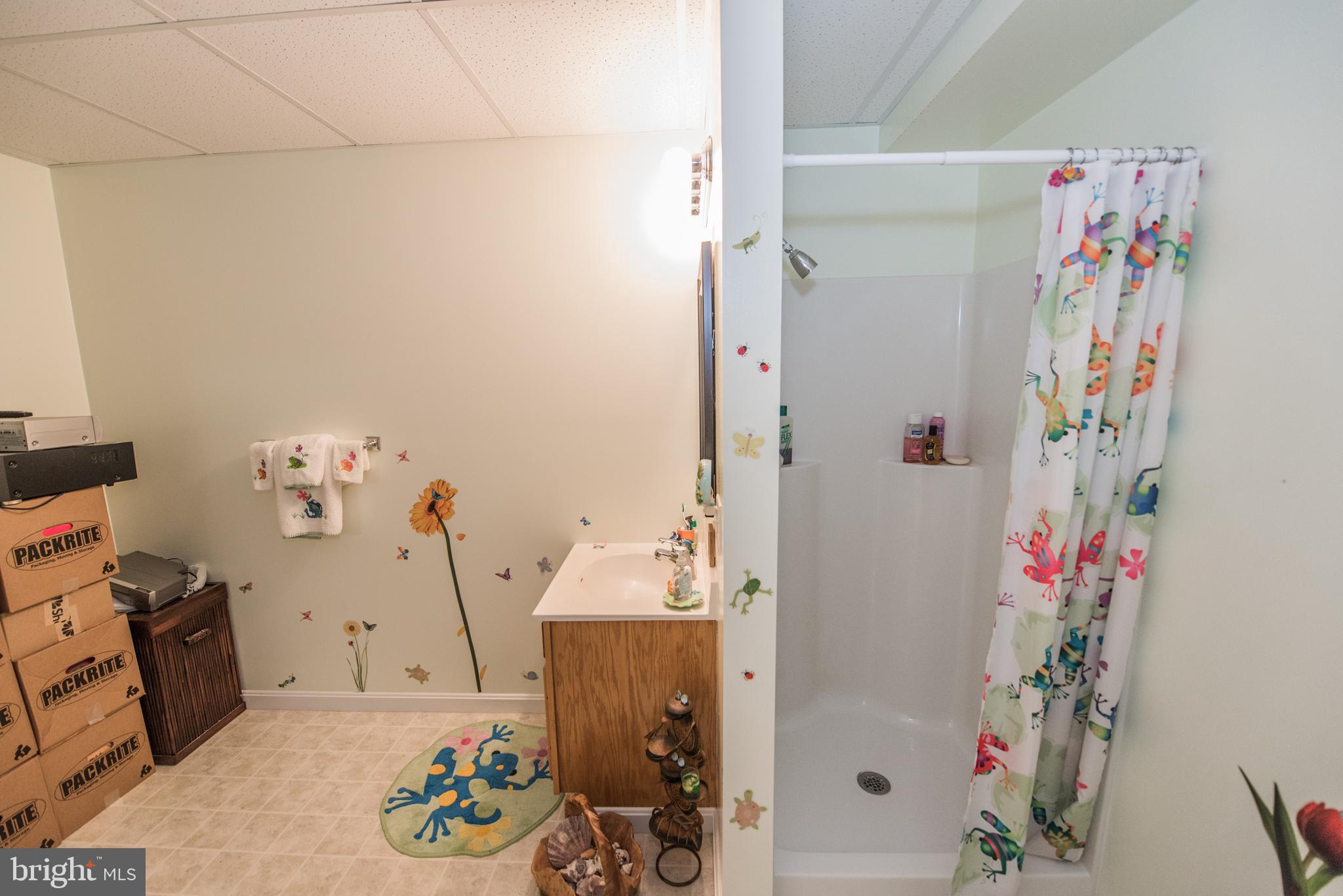 358 Ridge View Drive Berkeley Springs, WV 25411 - Photo 34 of 50 full bath lower level