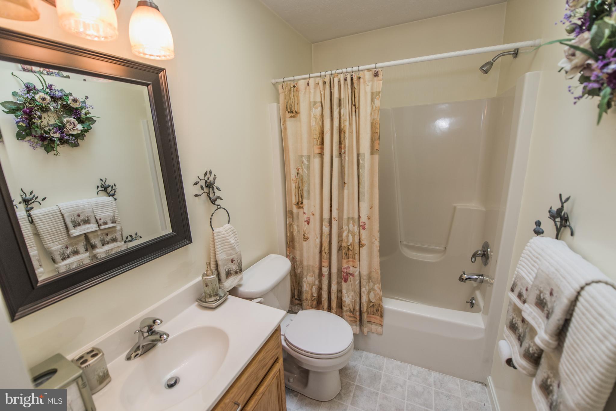 358 Ridge View Drive Berkeley Springs, WV 25411 - Photo 42 of 50 hallway bathroom