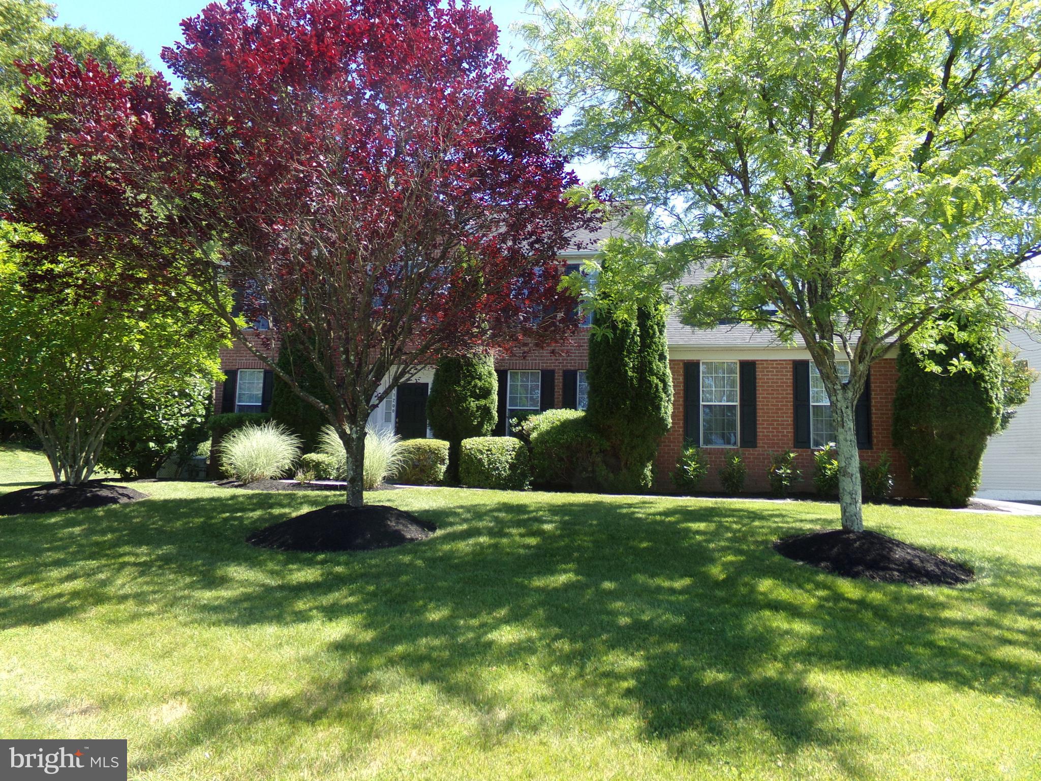 11200 Snowden Pond Road Laurel, MD 20708 - Photo 5 of 63 beautiful trees and shrubs