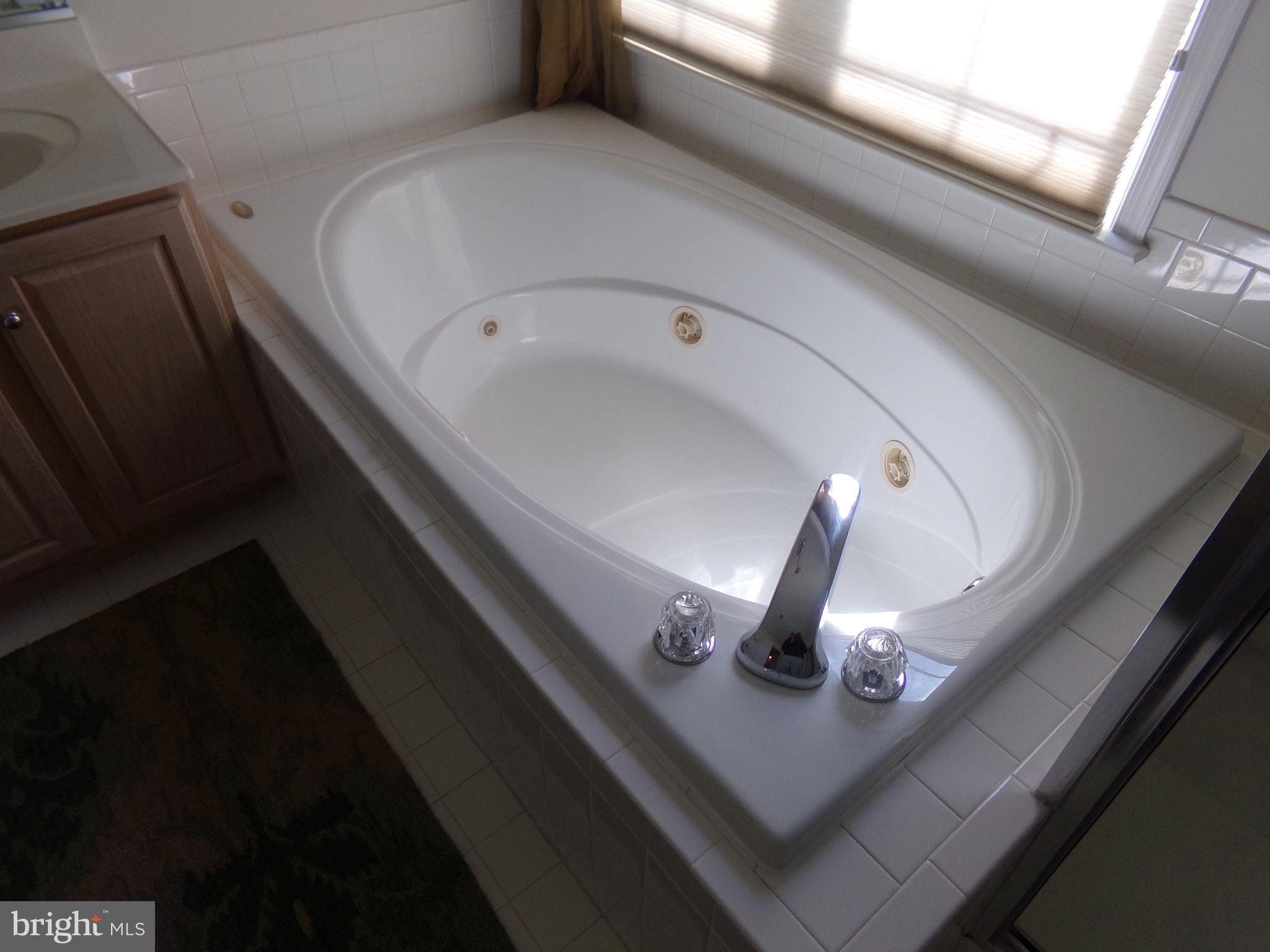 11200 Snowden Pond Road Laurel, MD 20708 - Photo 49 of 63 jacuzzi tub