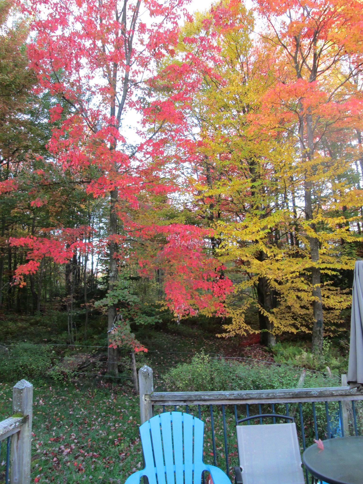 3919 East Bakersfield Road Bakersfield, VT 05450 - Photo 46 of 60