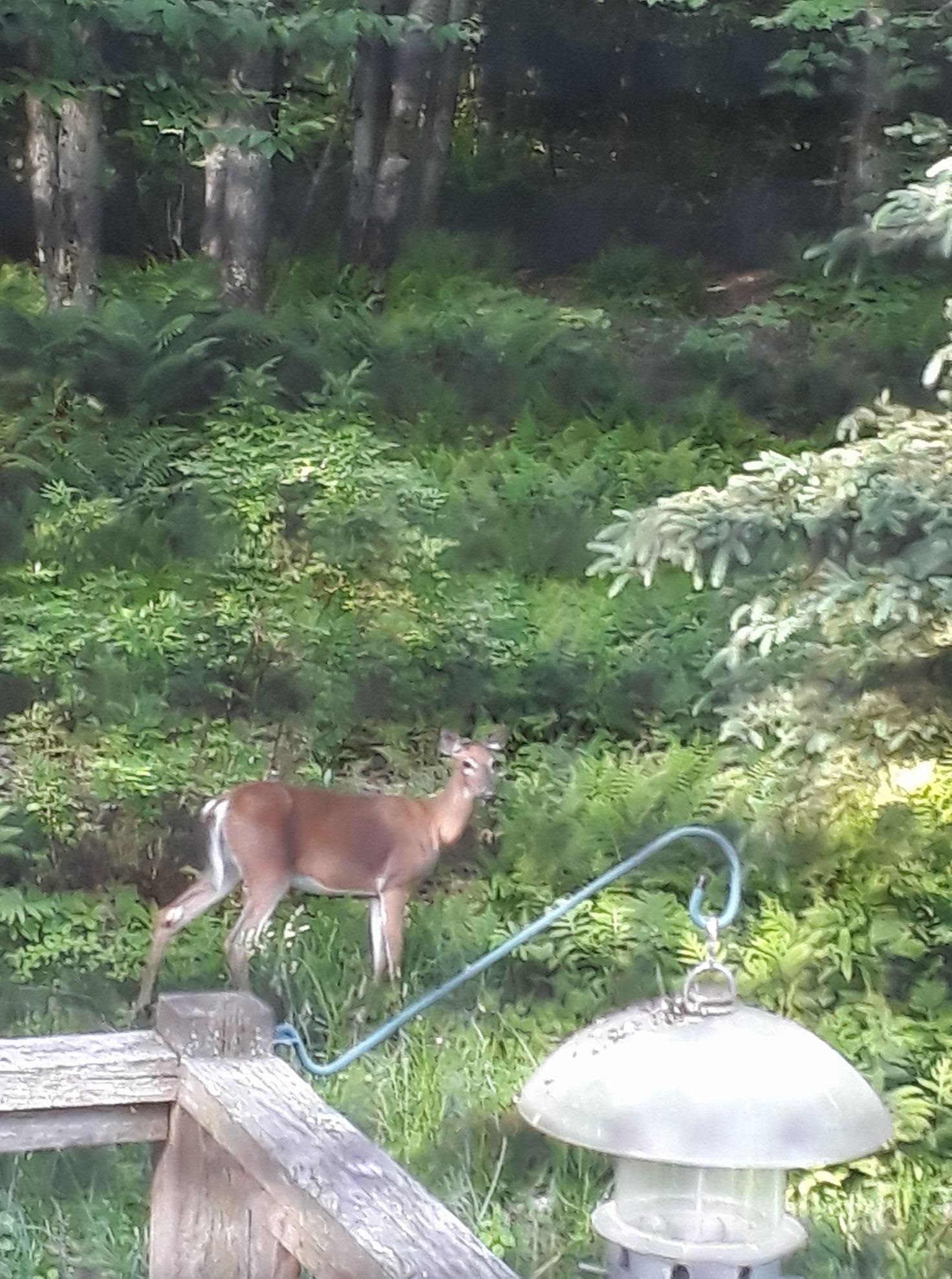 3919 East Bakersfield Road Bakersfield, VT 05450 - Photo 47 of 60