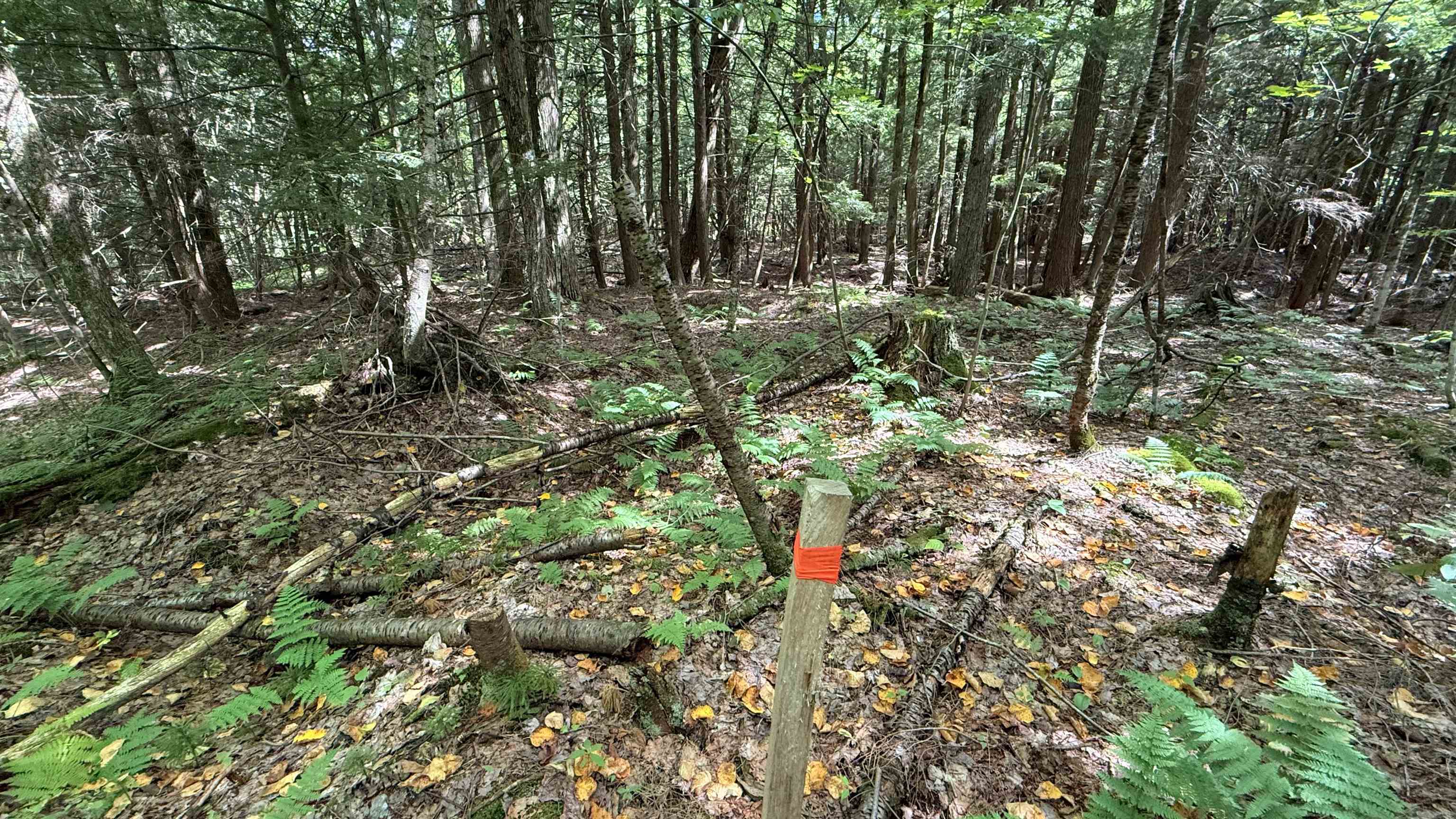 3919 East Bakersfield Road Bakersfield, VT 05450 - Photo 52 of 60