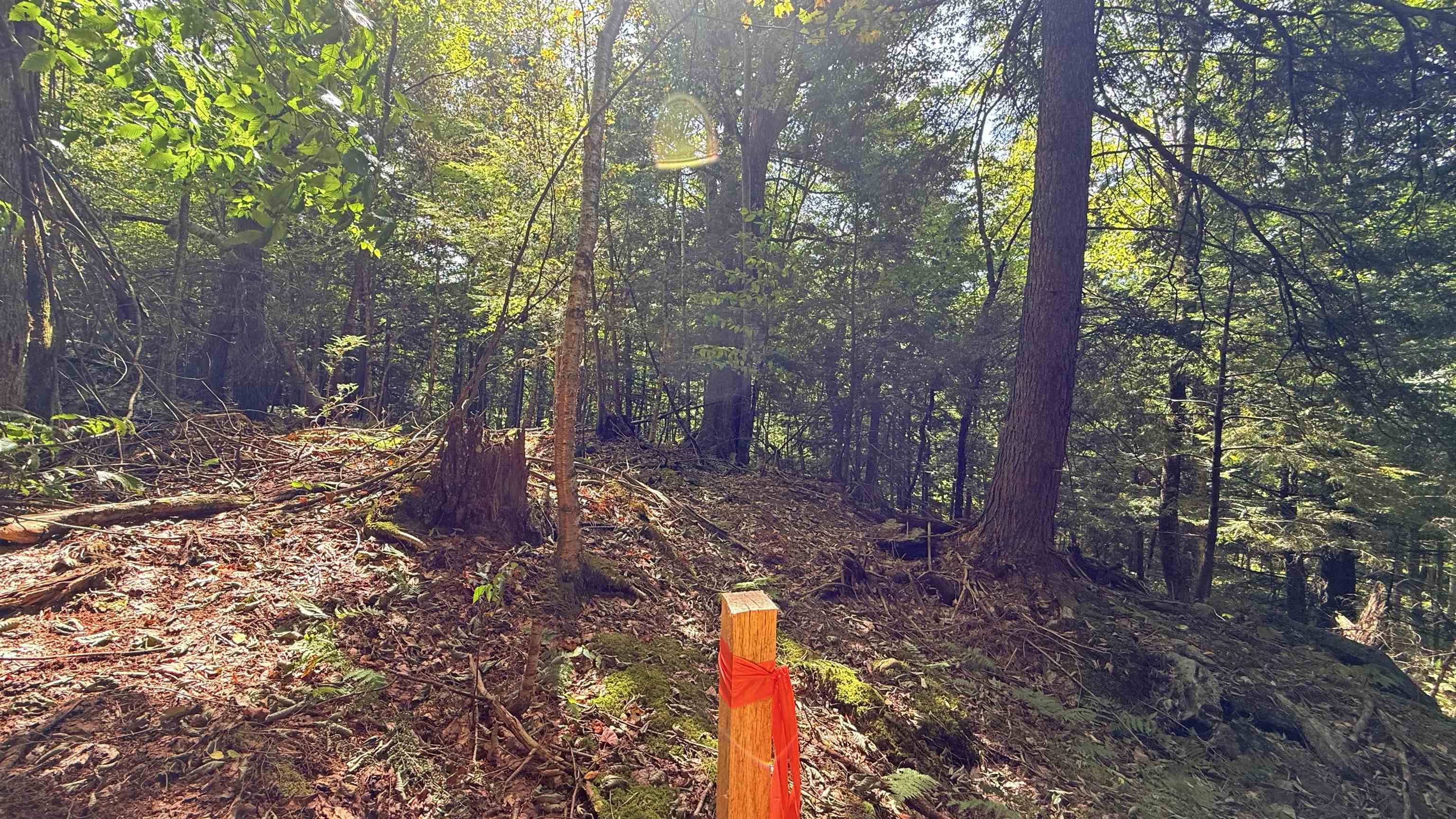 3919 East Bakersfield Road Bakersfield, VT 05450 - Photo 53 of 60