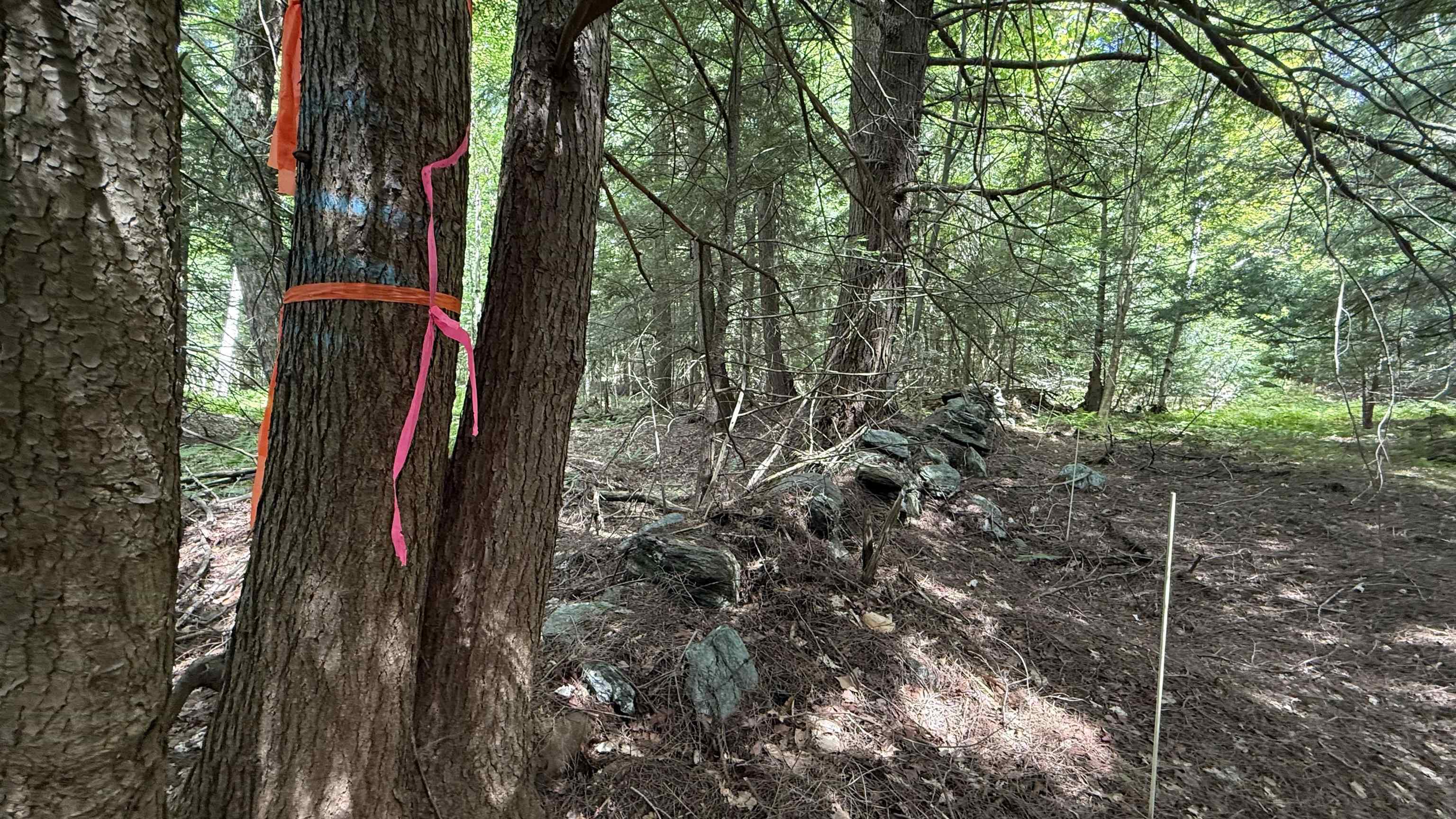 3919 East Bakersfield Road Bakersfield, VT 05450 - Photo 54 of 60