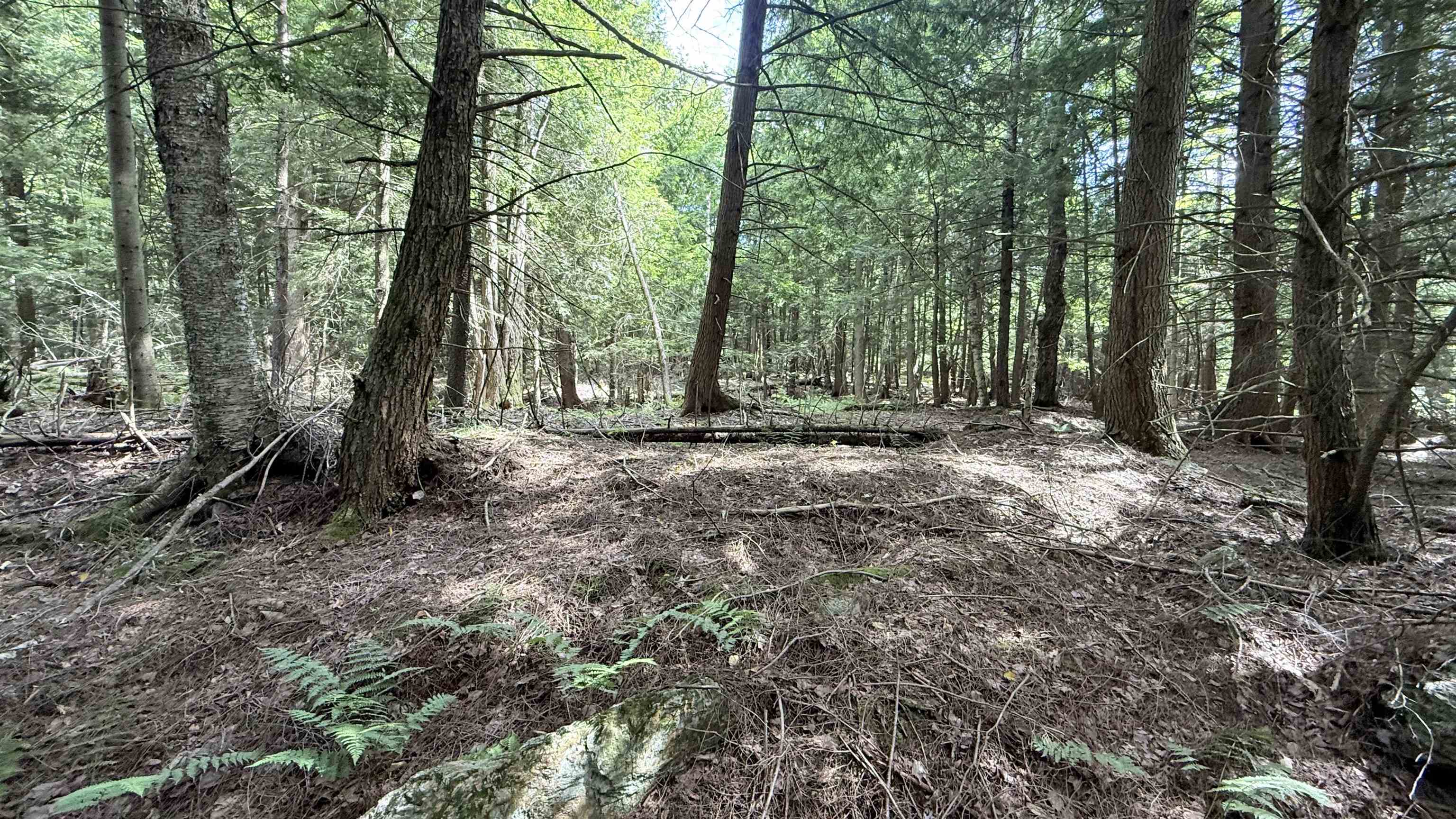 3919 East Bakersfield Road Bakersfield, VT 05450 - Photo 55 of 60