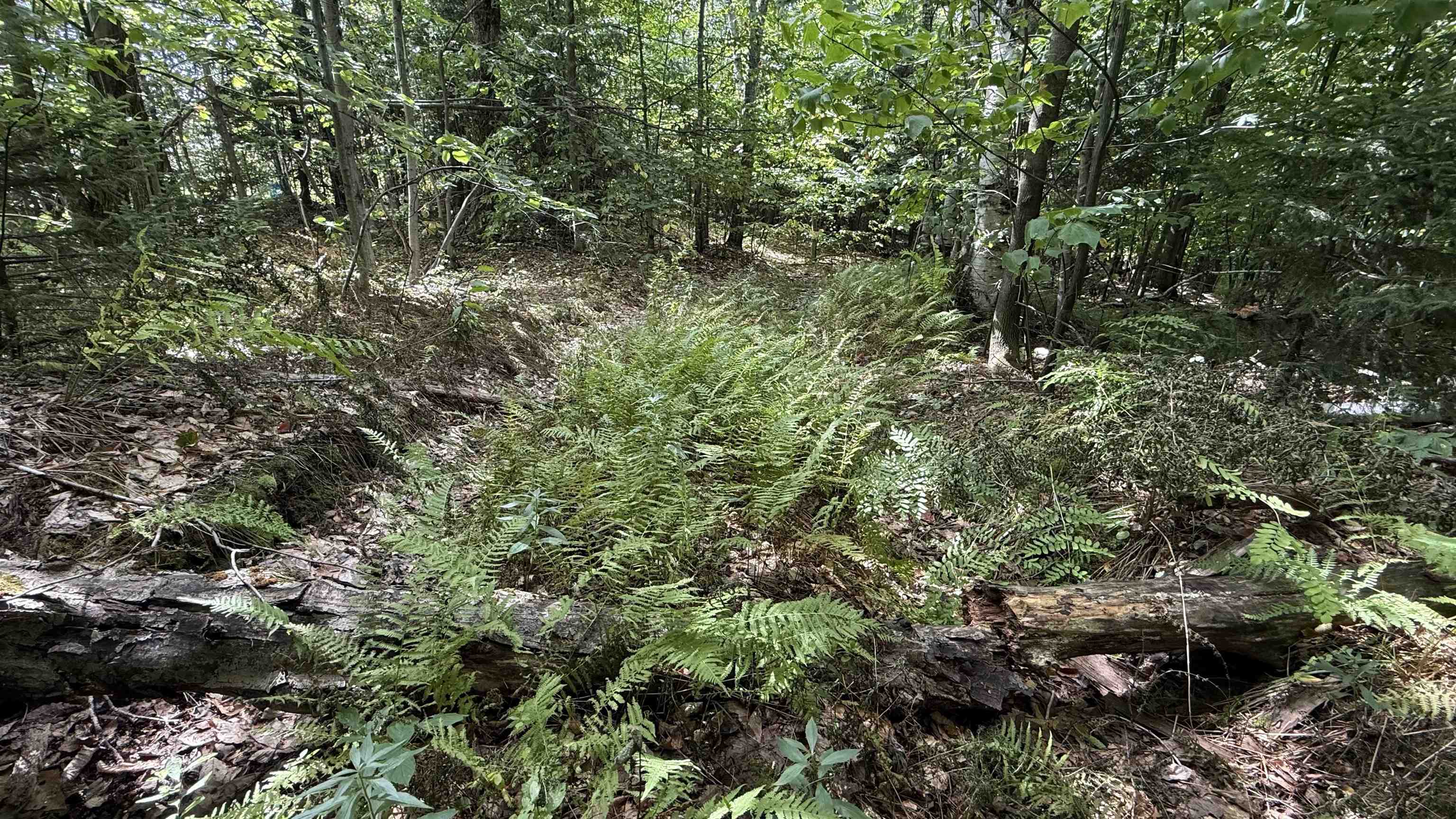 3919 East Bakersfield Road Bakersfield, VT 05450 - Photo 56 of 60