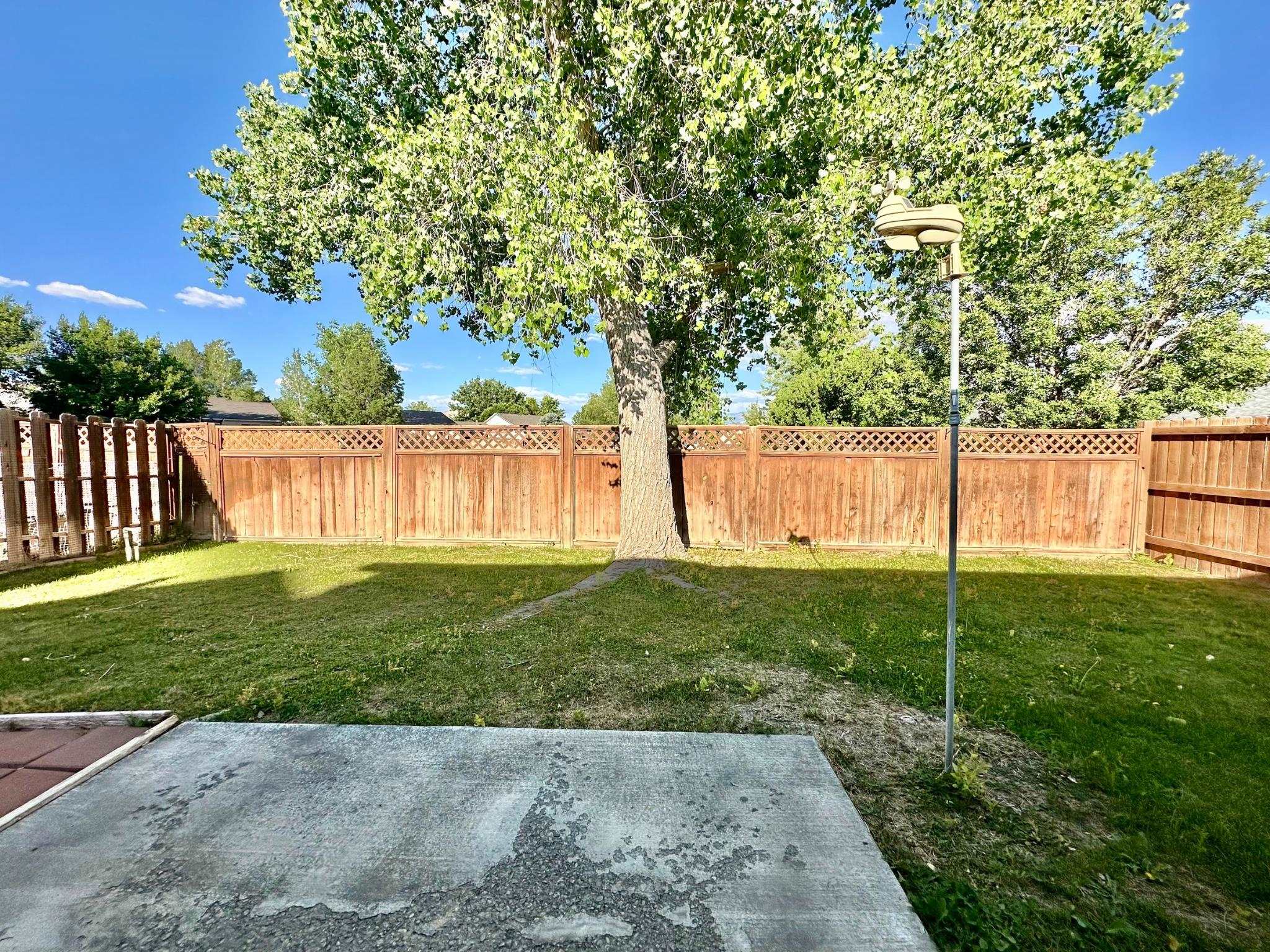 656 Springbrook Drive Grand Junction, CO 81504 - Photo 29 of 32 a view of a back yard with green space