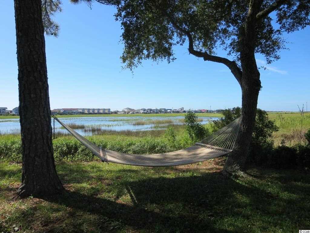 736 Elizabeth Drive Murrells Inlet, SC 29576 - Photo 22 of 25 Gallery Image 22