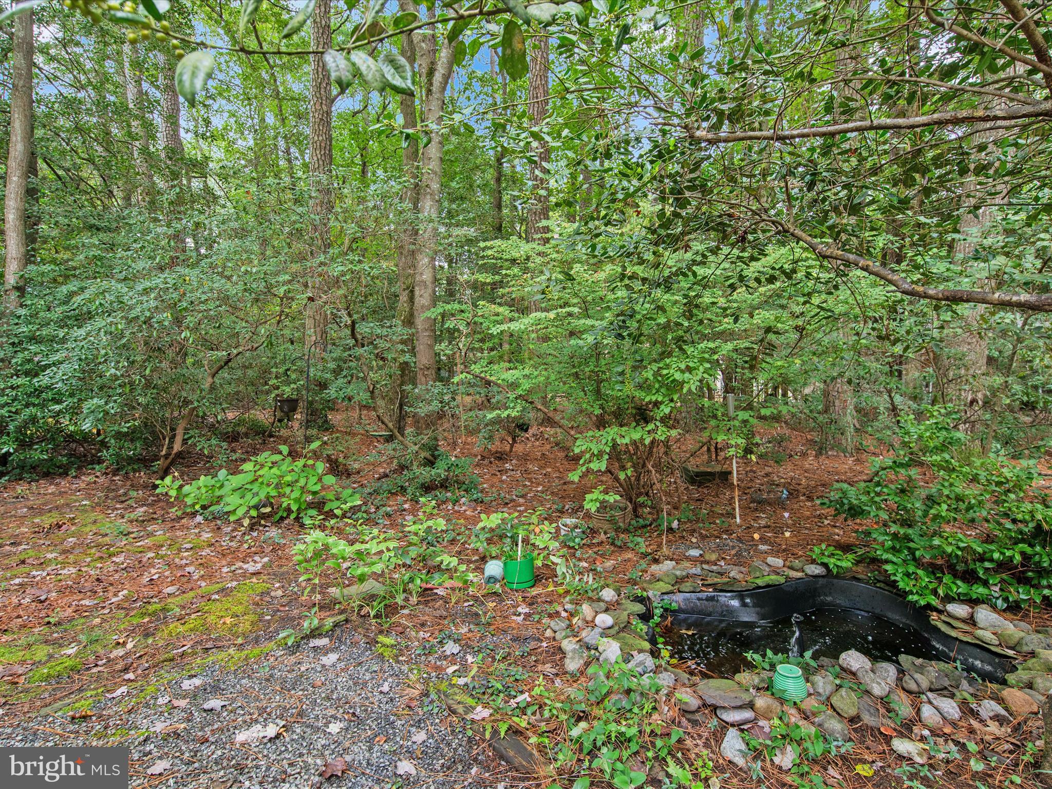 33 Pinehurst Road Berlin, MD 21811 - Photo 36 of 36