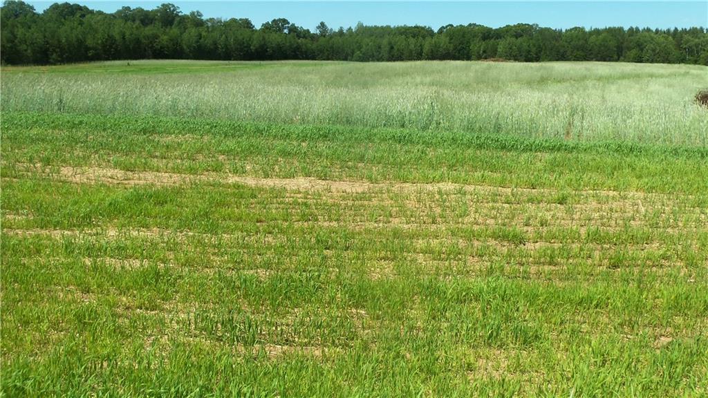 Lot 17 Red Maple Lane Siren, WI 54872 - Photo 5 of 6