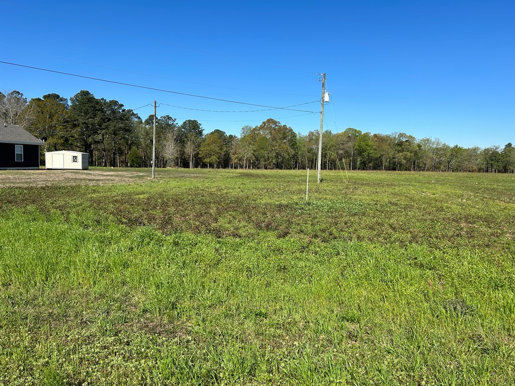 16.14-ac Lees Bridge Road Midland City, AL 36350 - Photo 13 of 28