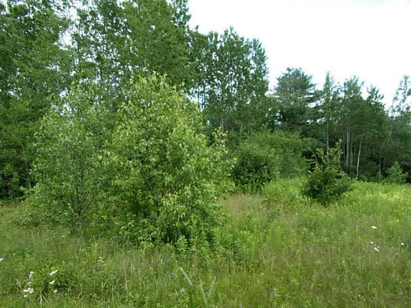 0 Back Searsport Road Belfast, ME 04915 - Photo 1 of 8 Land/Lot. Lot in Belfast Maine