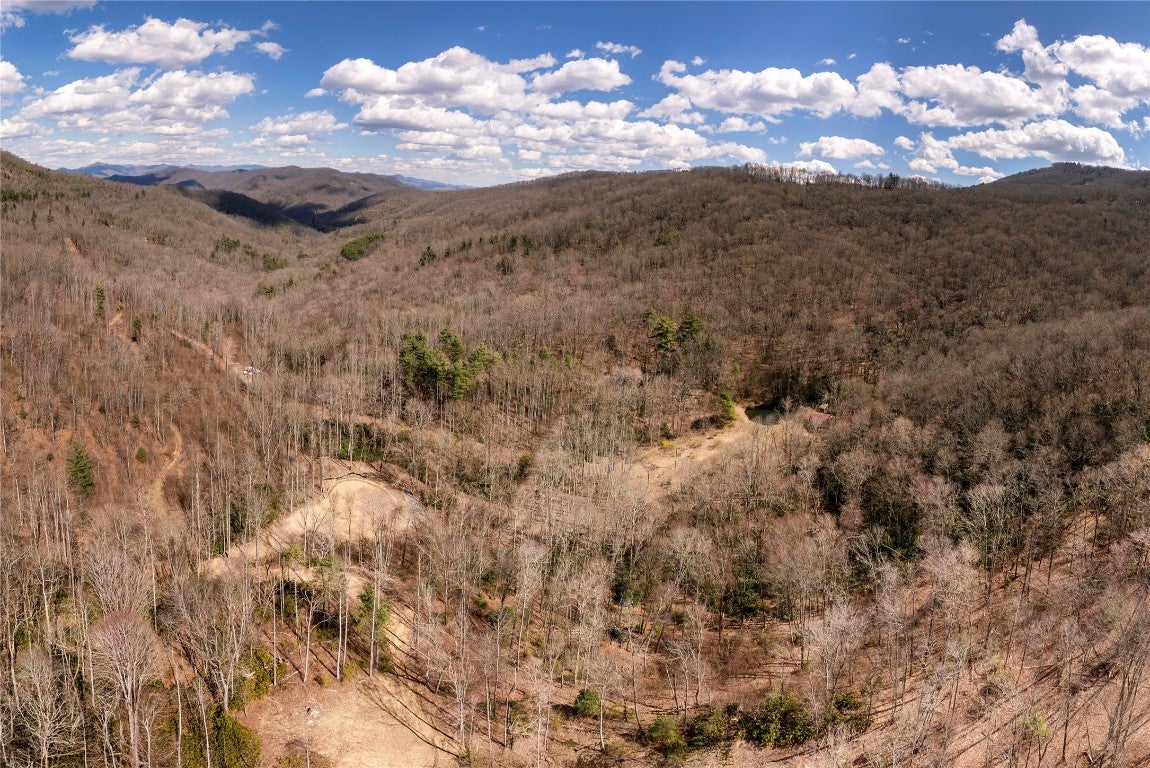 1641 White Rock Road Cullowhee, NC 28723 - Photo 25 of 27 Gallery Image 25