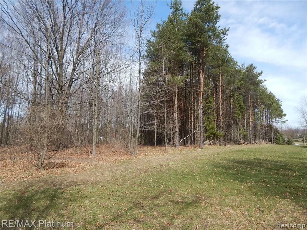 19283 Hickory Ridge Road Fenton, MI 48430 - Photo 70 of 72 DSCN3816.JPG