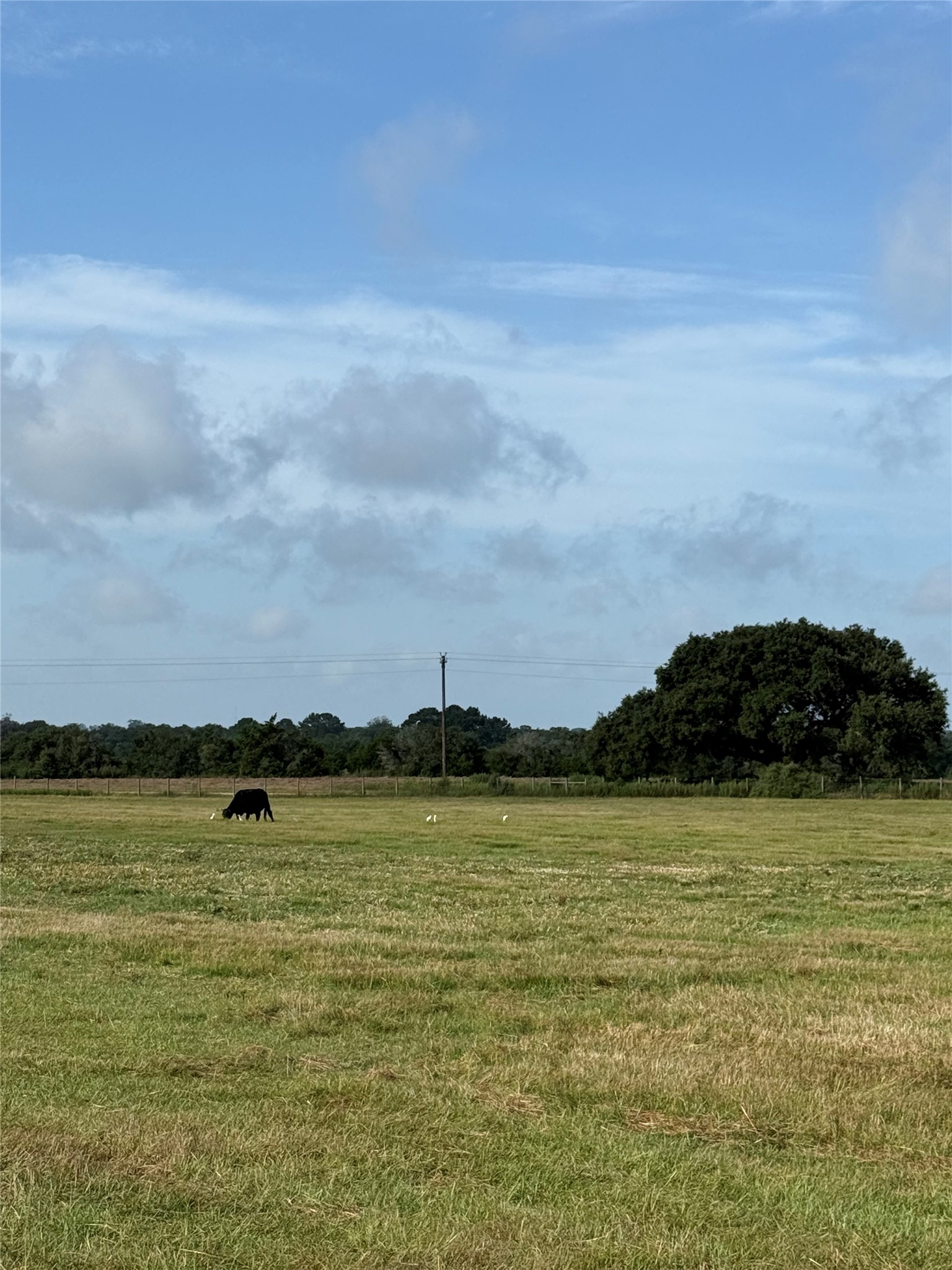 1 Reitz Quinn Road Cat Spring, TX 78933 - Photo 4 of 19 Gallery Image 4