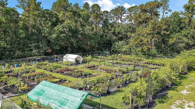 $799,000 | 5960 South Pine Avenue, Ocala, FL 34480