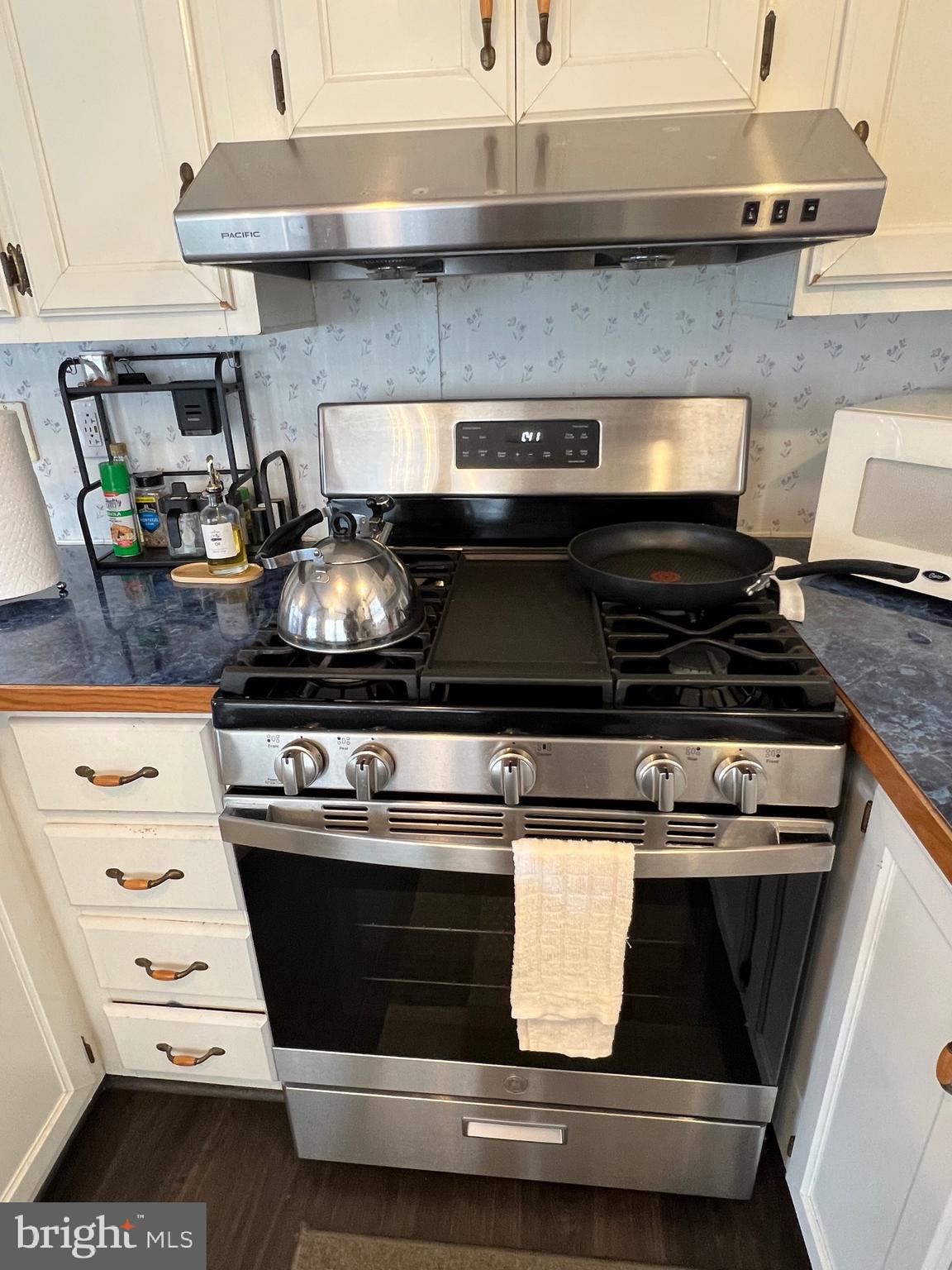 12033 Assateague Way Berlin, MD 21811 - Photo 11 of 109 New Gast Stove