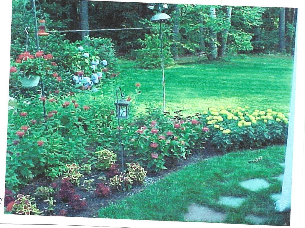338 Rollstone Road Fitchburg, MA 01420 - Photo 4 of 26 Gallery Image 4