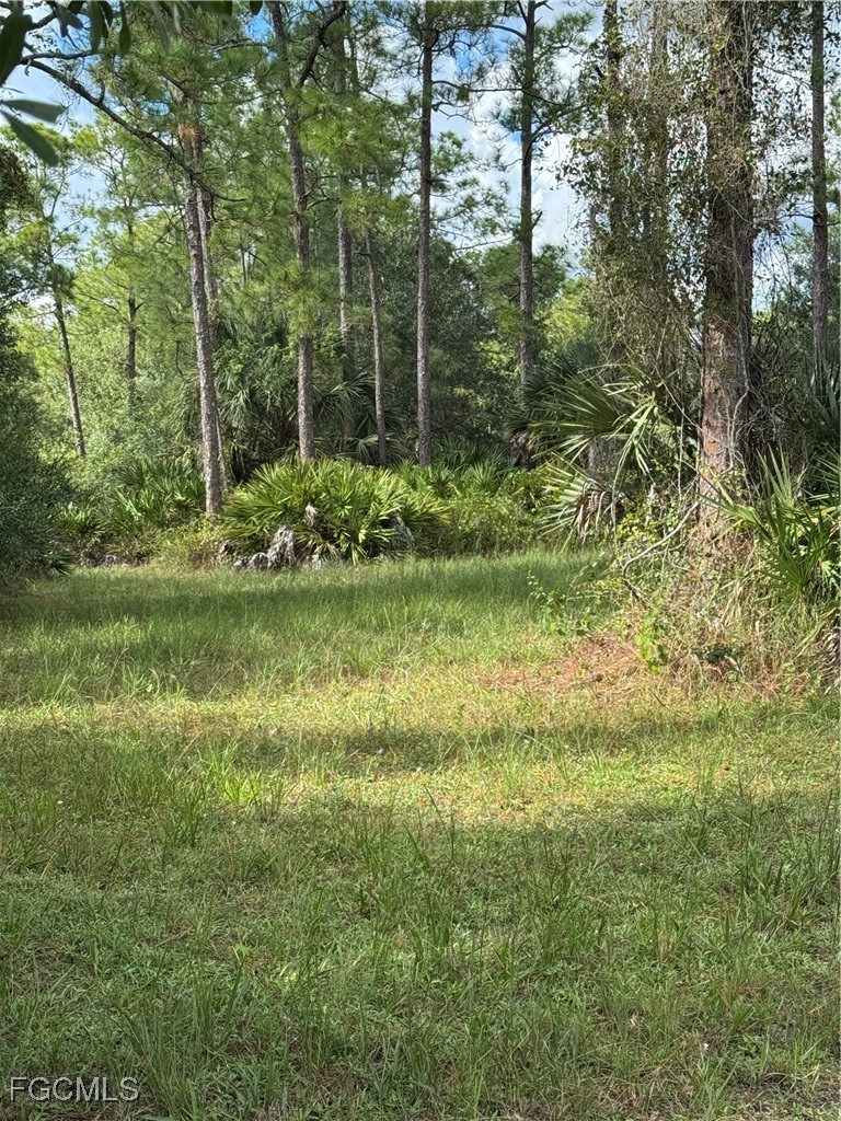 2201 Riviera Avenue Clewiston, FL 33440 - Photo 5 of 31 a view of outdoor space and yard