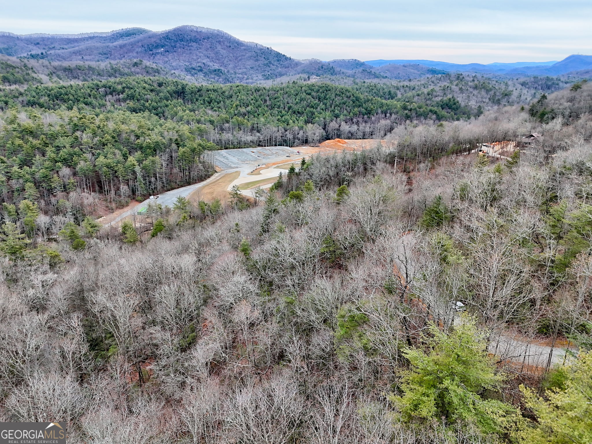 a view of a lush green hillside and a forest