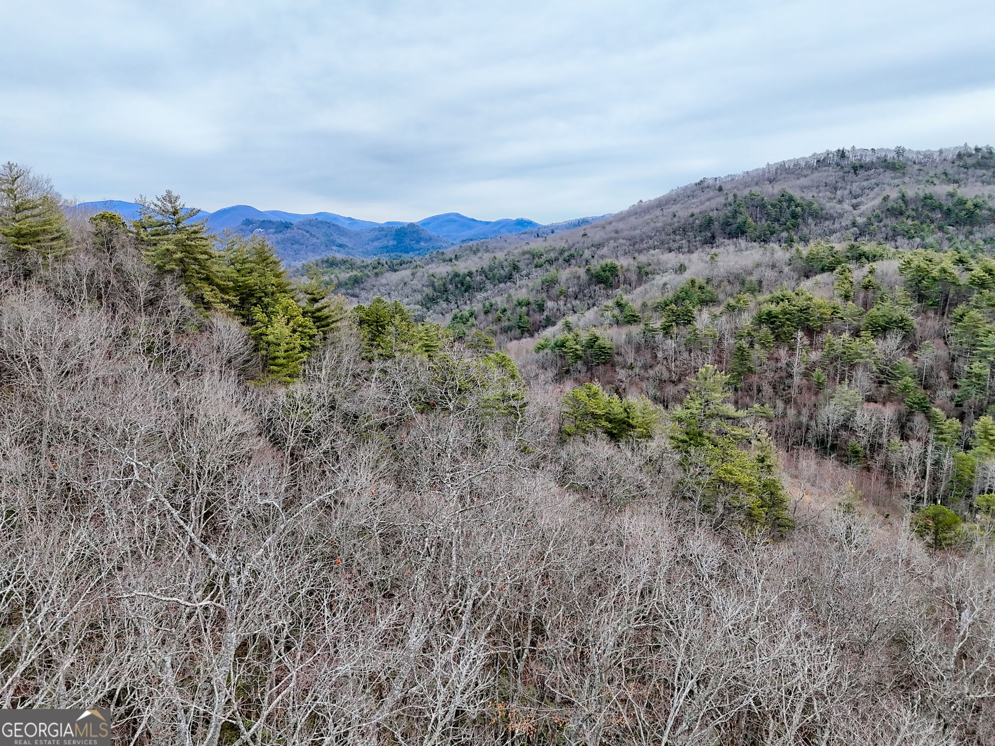 Lot 121 Doolittle Drive Rabun Gap, GA 30568 - Photo 2 of 19 a view of a dry field