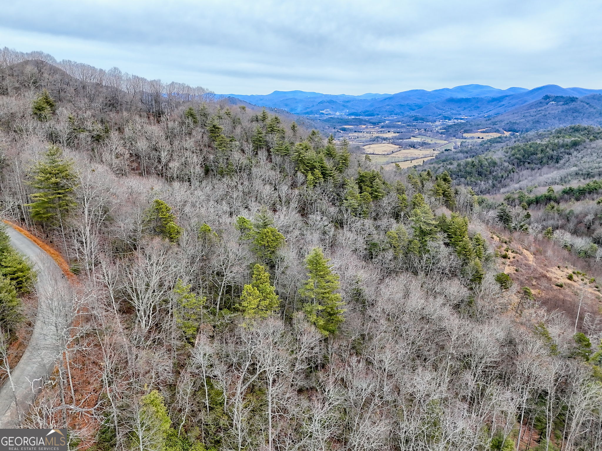 Lot 121 Doolittle Drive Rabun Gap, GA 30568 - Photo 7 of 19 a view of a lush green forest with trees in the background