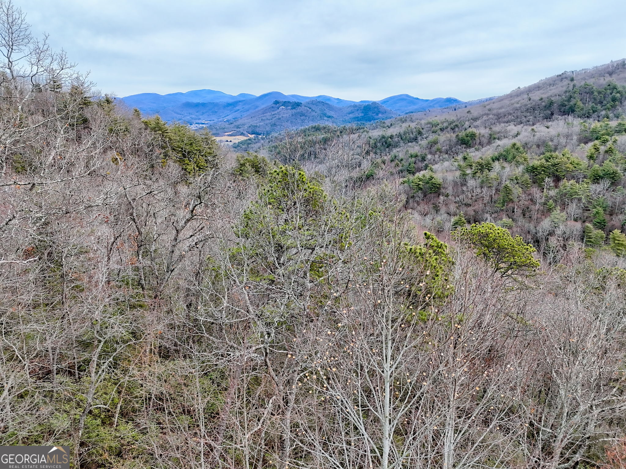 Lot 121 Doolittle Drive Rabun Gap, GA 30568 - Photo 8 of 19 a view of a forest with a mountain in the background