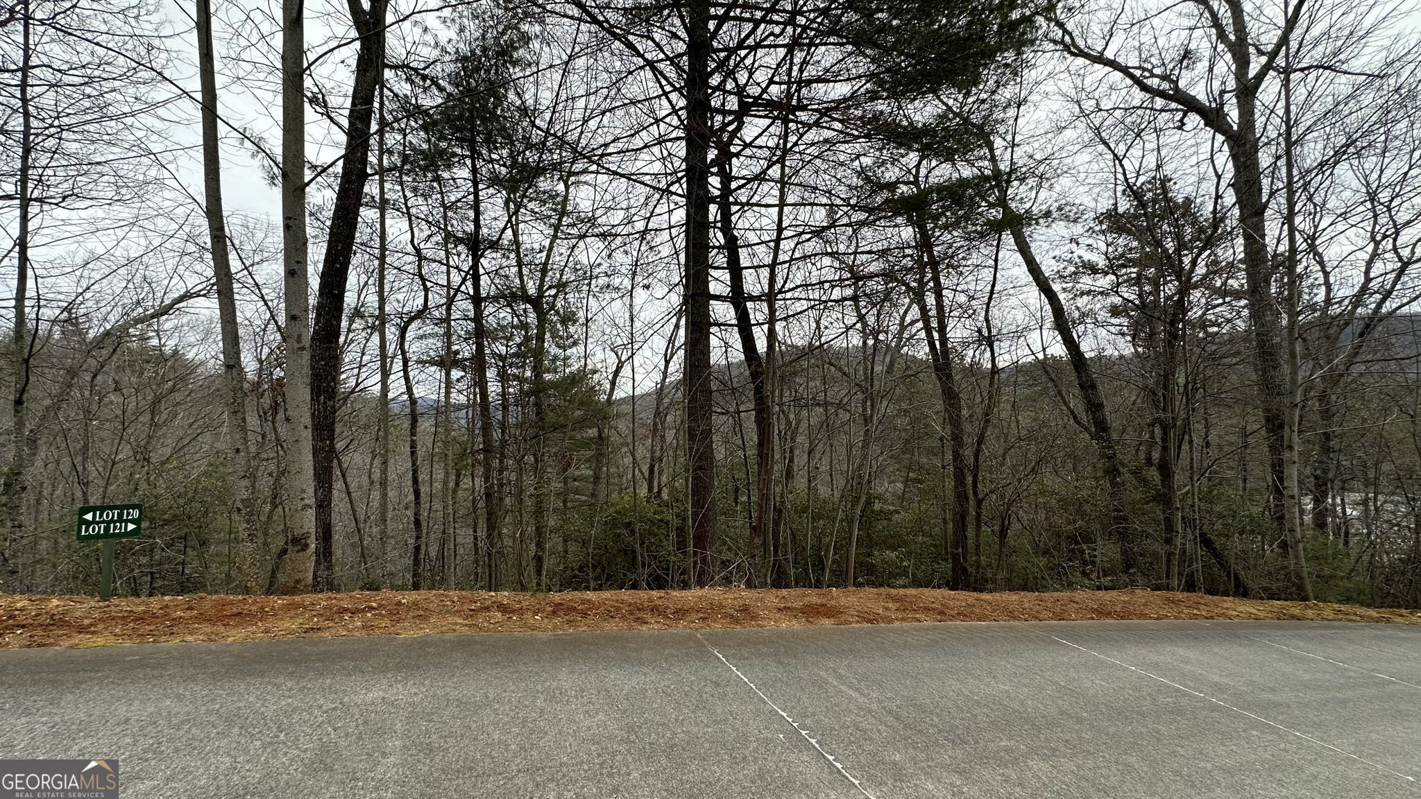 Lot 121 Doolittle Drive Rabun Gap, GA 30568 - Photo 9 of 19 a view of outdoor space and yard