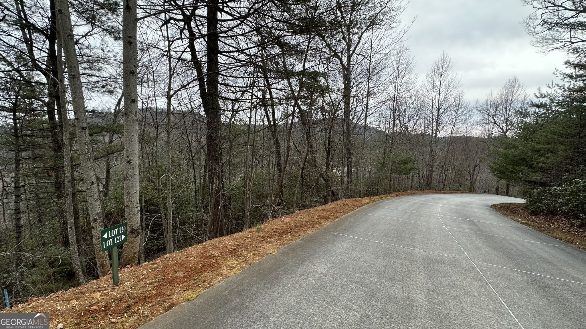 Lot 121 Doolittle Drive Rabun Gap, GA 30568 - Photo 10 of 19 a view of a backyard
