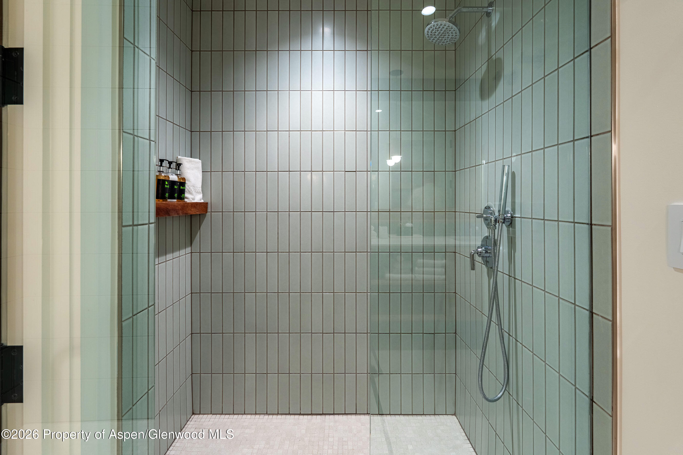 119 Wood Road, Unit 503 Snowmass Village, CO 81615 - Photo 10 of 24 Primary Shower