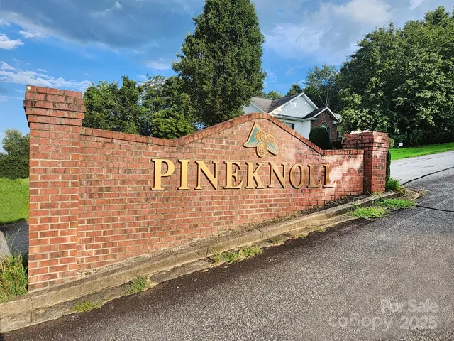 a view of outdoor space with signage and flags