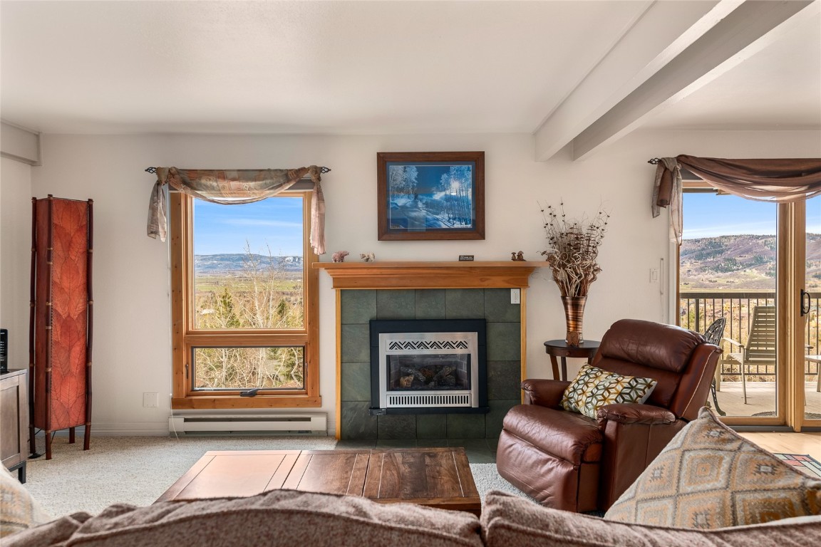 2626 Longthong Road, Unit 204 Steamboat Springs, CO 80487 - Photo 2 of 48 Gallery Image 2