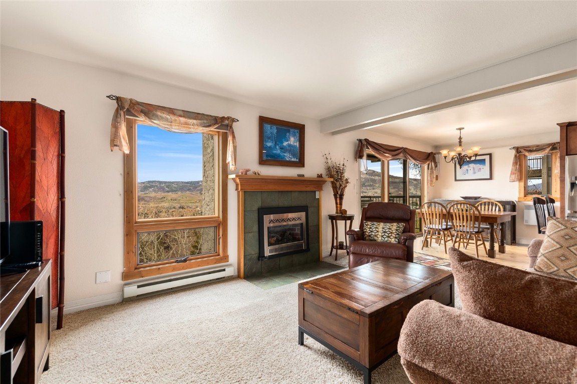 2626 Longthong Road, Unit 204 Steamboat Springs, CO 80487 - Photo 3 of 48 Gallery Image 3