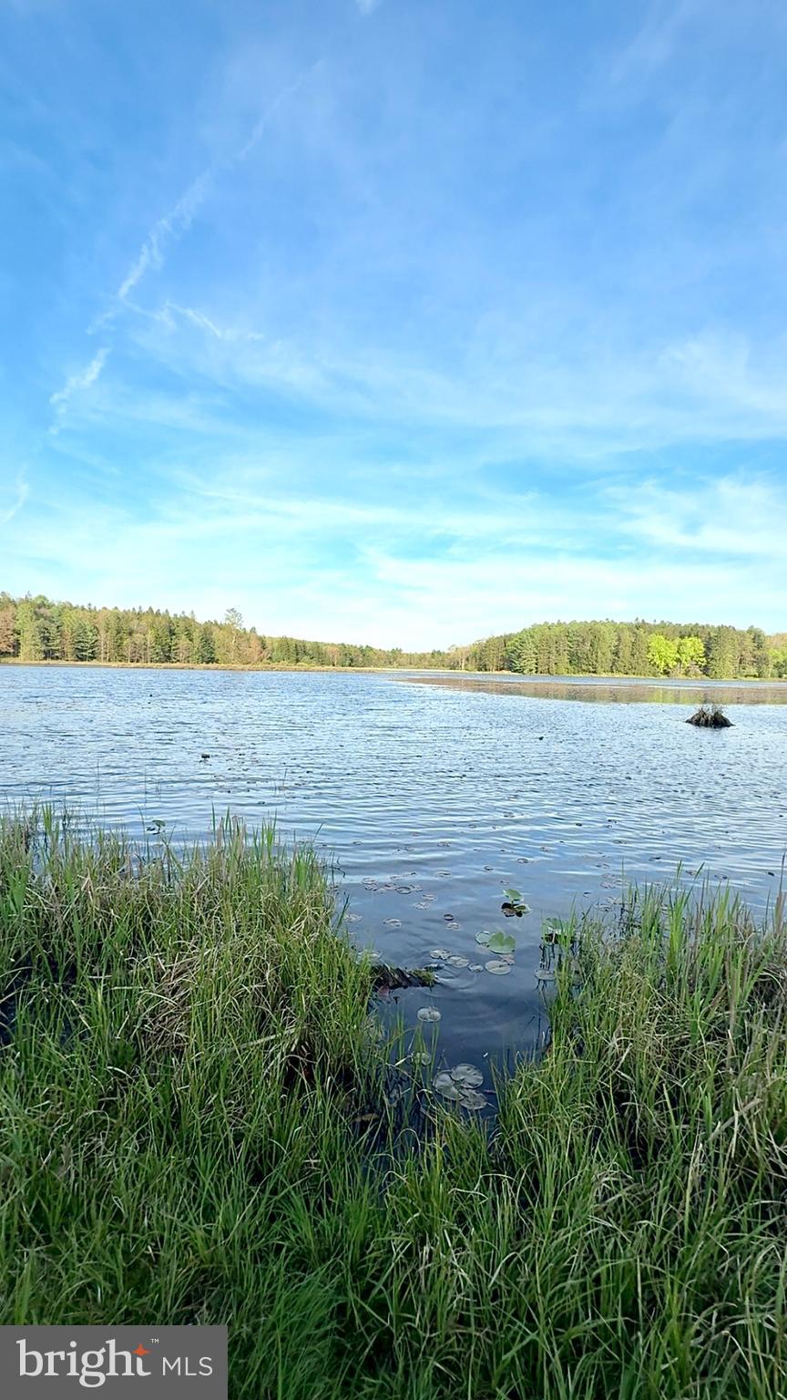 122 Tobyhanna Road Philipsburg, PA 16866 - Photo 15 of 17