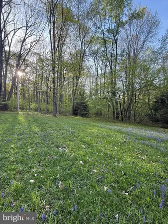 a view of a grassy field with trees