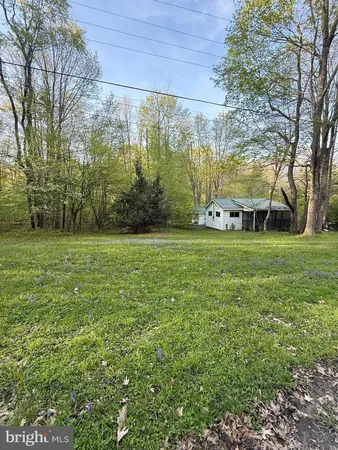 a view of a park with large trees