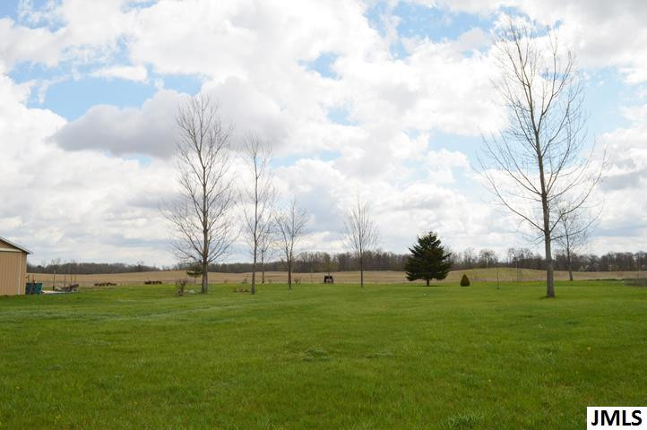 3887 Crain Road Onondaga, MI 49264 - Photo 5 of 23 Photo 5