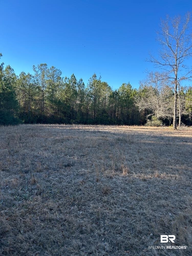 0 Buddy Lake Road Brewton, AL 36426 - Photo 2 of 2 View of yard