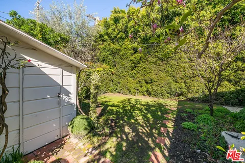 a view of a yard with plants and trees