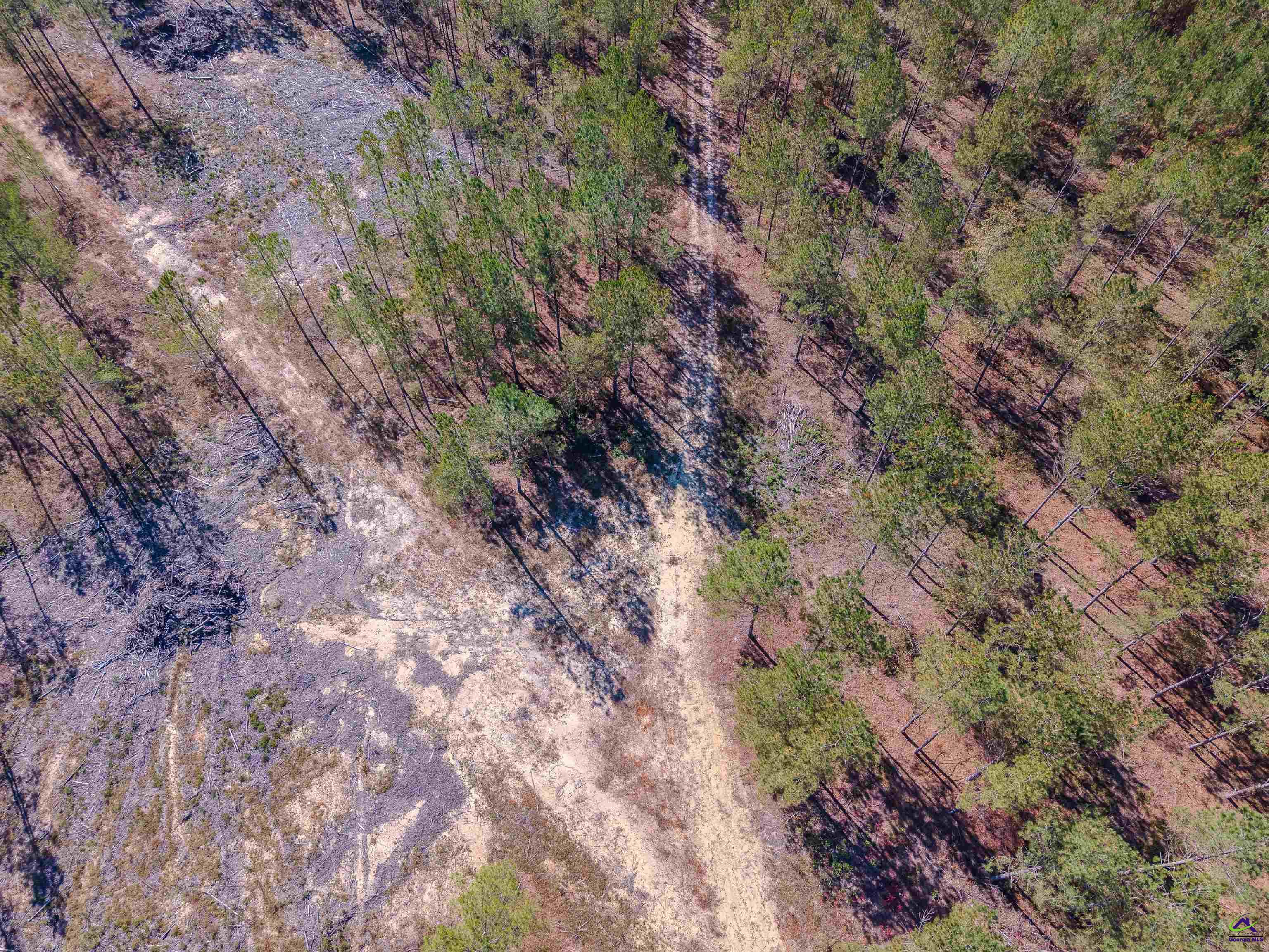 1446 Avera Road Roberta, GA 31078 - Photo 14 of 33