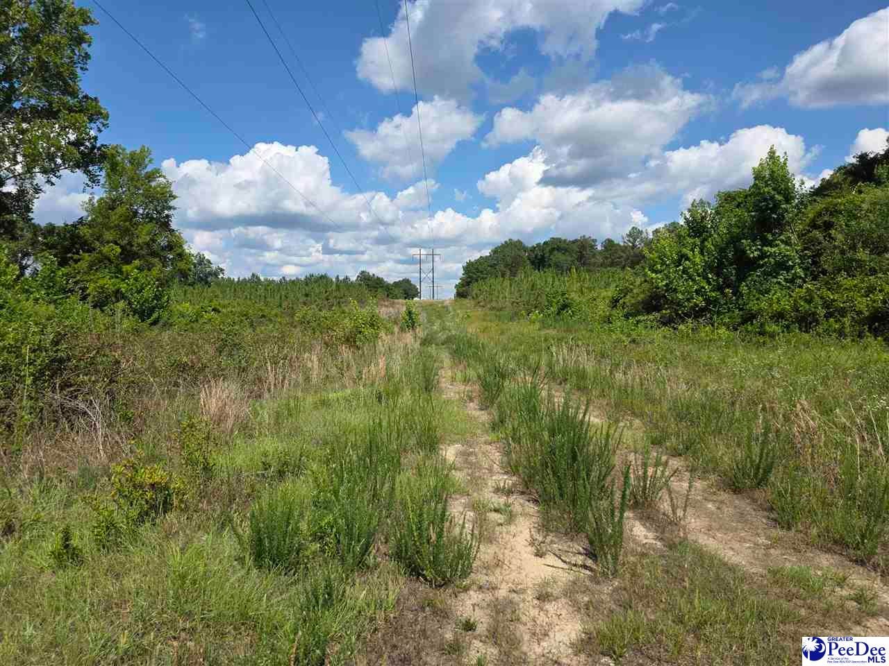 0 Hillian-Edwards Road Cheraw, SC 29520 - Photo 12 of 28 Gallery Image 12