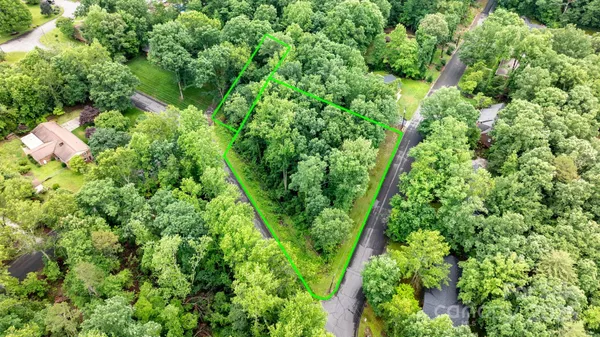 a view of a lush green forest with lawn chairs