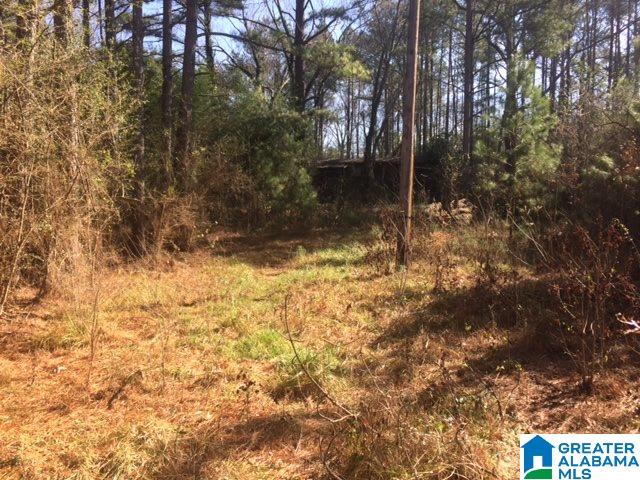 6692 Burchfield Loop, Unit 1 Bessemer, AL 35022 - Photo 1 of 3
