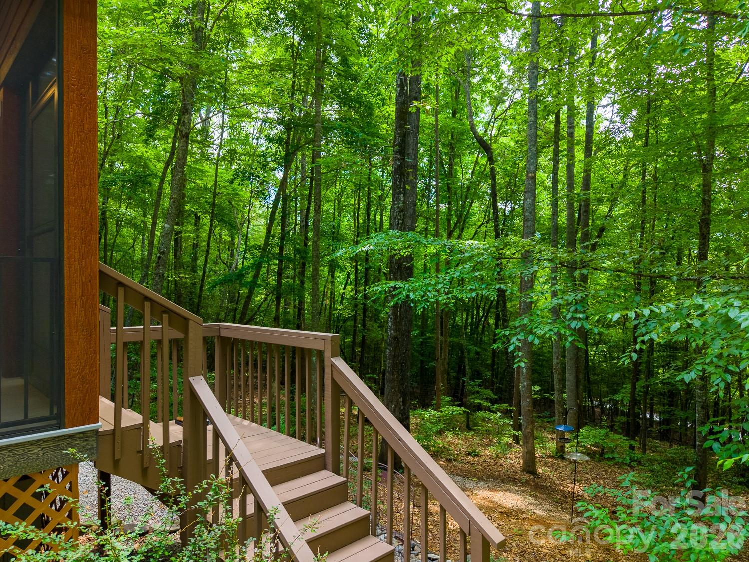 243 Jonquil Wds Road Franklin, NC 28734 - Photo 34 of 48