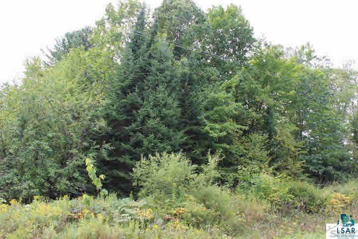 23815 Mountain Road Cornucopia, WI 54827 - Photo 15 of 15 Gallery Image 15