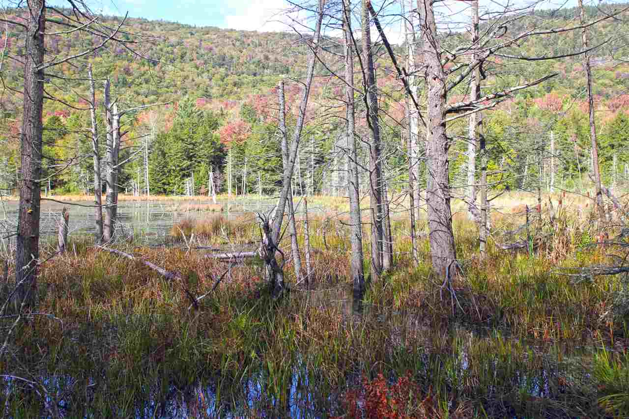 1999 Lapland Road, Unit 7 Waterville, VT 05492 - Photo 14 of 18